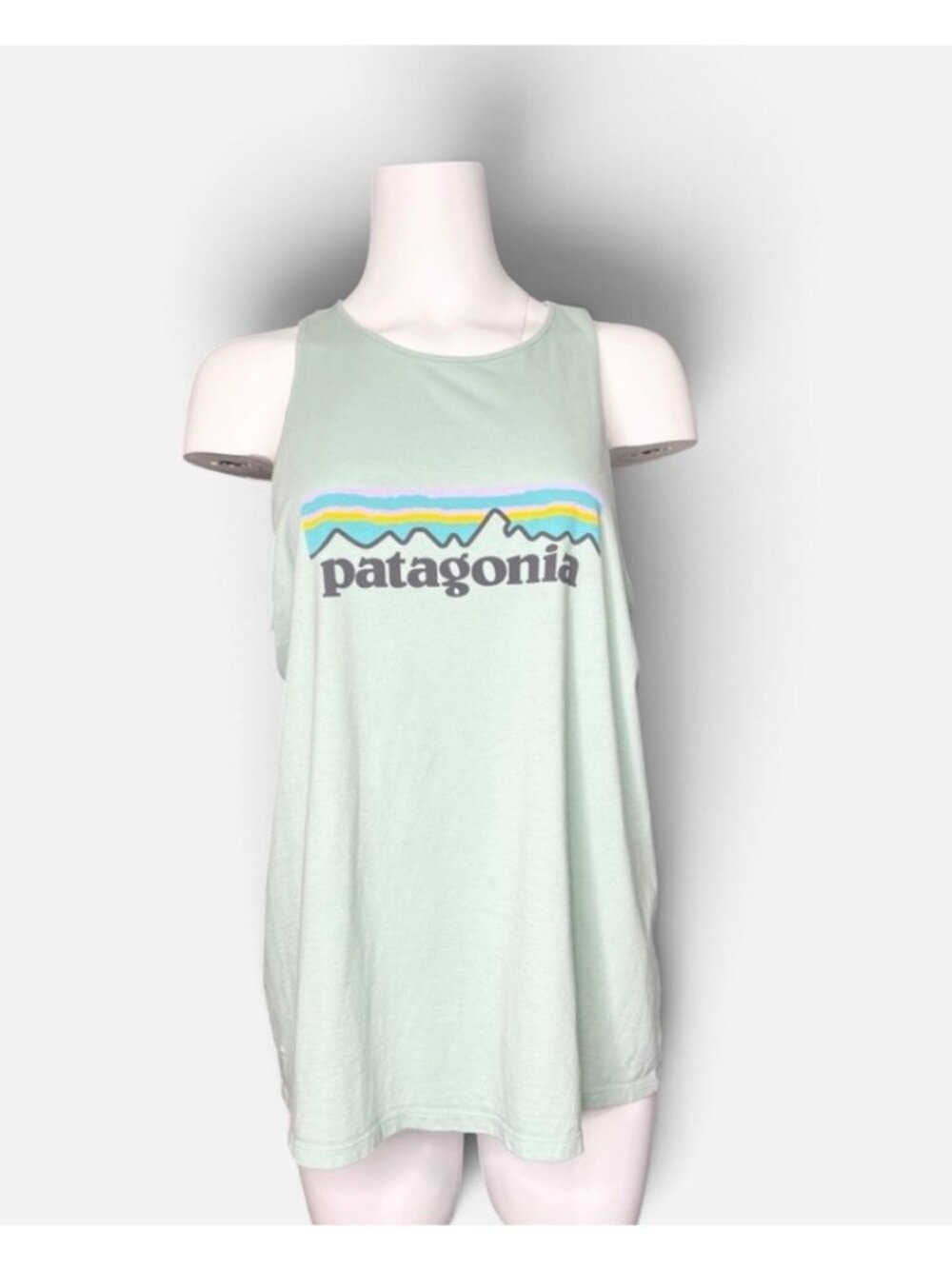 Patagonia Tank Top Womens L Mint Green Organic Cotton Logo Racerback Lightweight
